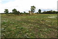 Derelict barn in the field corner