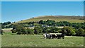 View east towards the A2037 and Tottington Mount