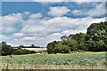 Sweffling, Woolnough Lane: Looking towards Gull Covert