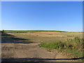 Chalk hills on the edge of Cambridgeshire