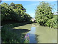 Bend on the canal in Devizes