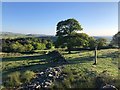 Gritstone Trail