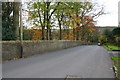 Stone wall and trees on SW side of Oakworth Road