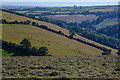 Strete : Countryside Scenery