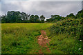 Bath : Grassy Field