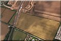 Cropmarks on a field southwest of Grantham: aerial 2020 (1)