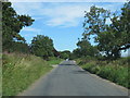 Back Lane at Cowton Grange