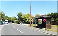 Flowers at the Bus Stop