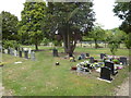 St Thomas, Watchfield: churchyard (d)
