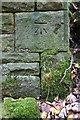 Benchmark on wall of bridge of dismantled railway, Damens Lane