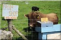 Arwydd siop fferm / Farm shop sign