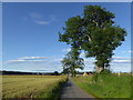 Road to Lower Kincraig