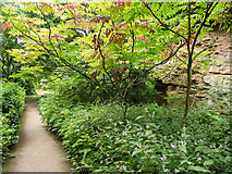 NZ0878 : Path in the Belsay Hall Gardens by Humphrey Bolton