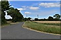 Sweffling: Looking towards Hall Farm in Chapel Lane