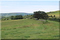 Towards top of Folly lane from Folly Tower