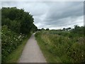 Canal towpath on southern edge of Bridgwater