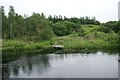 Overgrown canal basin