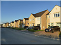 New houses, Galloway Grove