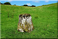 Standing stone, Lisnahanna