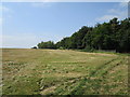 SP9194 : Hay field near Dryleas Wood by Jonathan Thacker