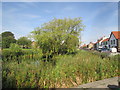 Village  pond  on  Cranswick  Green