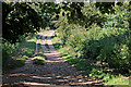 Roman Road by Little Iverley Covert, Stourbridge