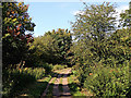 Roman Road by Romany Way in Stourbridge