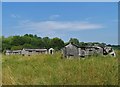 Abandoned chicken farm south of The River Meden