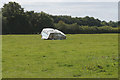 Discarded caravan south of Rosewood Farm