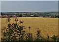 View from Upper Cross Lane to Church Warsop