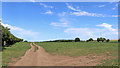 SO8582 : Farmland near Whittington in Staffordshire by Roger  D Kidd