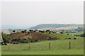 Cattle at Broomknowes Farm, Maybole