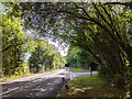 The turning for the Teign Valley Golf Club on the B3193, looking south