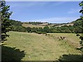 Fields in the Teign valley, seen from the side of the B3193