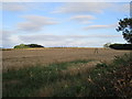 TL1278 : Wheat field near Hamerton by Jonathan Thacker