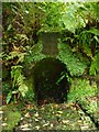 Old wellhead, Geilston Garden