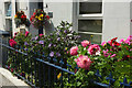 Garden on Portland Road, Babbacombe