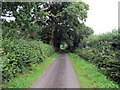 Heol ger Coed Bryn-bach / Road near Coed Bryn-bach