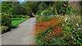 Border in the walled garden at the Logan Botanic garden