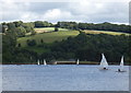 SO7678 : Sailing boats on Trimpley Reservoir by Mat Fascione
