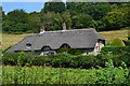 Thatched cottage at Ansty