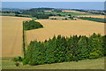 ST9725 : Woodland and fields below Swallowcliffe Down by David Martin