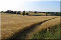 Footpath to Wappenham