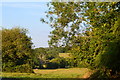 Fields and woods north of Hook Manor