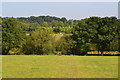 Footpath across fields in Ansty Combe