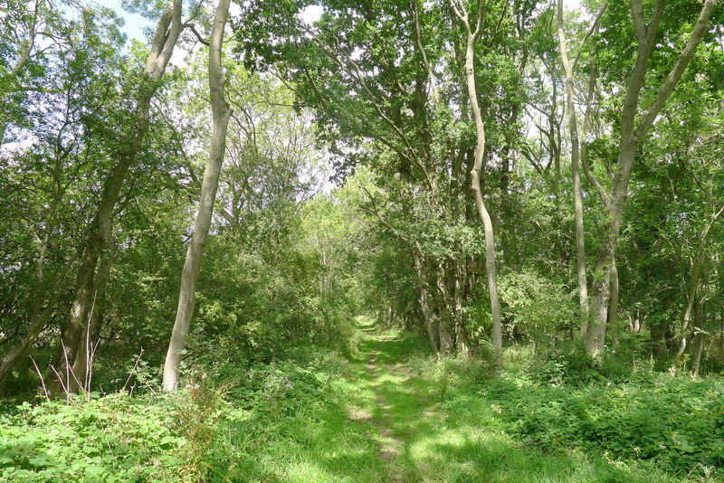 King Street, Castor Hanglands © Tim Heaton cc-by-sa/2.0 :: Geograph ...