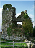 S9676 : Castles of Leinster: Clonmore, Carlow (2) by Garry Dickinson