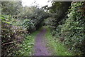 TQ5567 : Darent Valley Path by N Chadwick