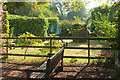 SX8963 : Garden, Cockington by Derek Harper