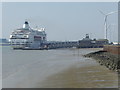 TQ6475 : Cruise liner laid up at Tilbury by Marathon
